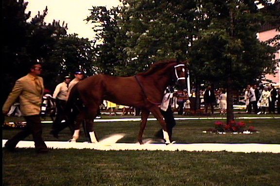 Secretariat-Arlington-1973        